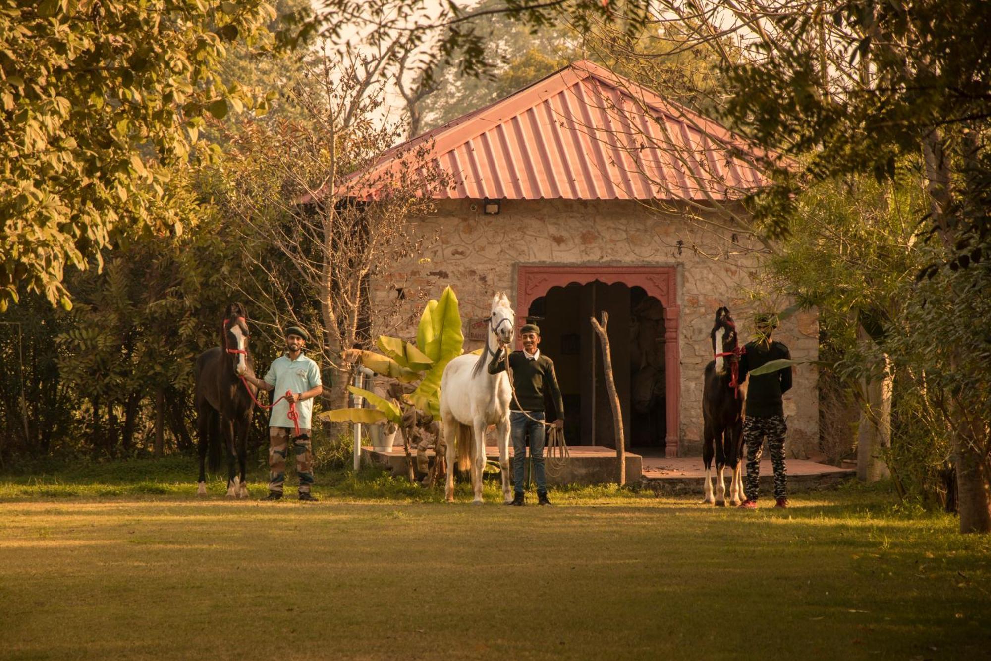 Maa Ashapura Resort Sawai Madhopur Εξωτερικό φωτογραφία